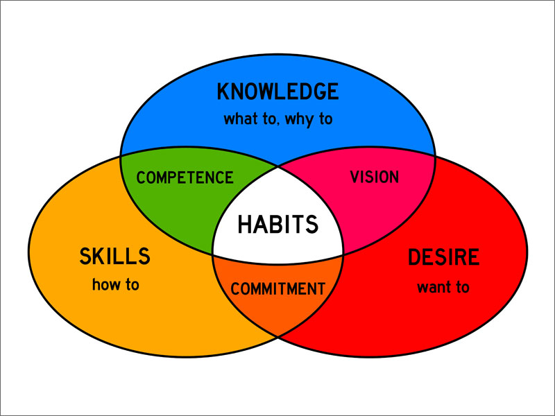 WIsdom Matrix,E-Learning Strategy 